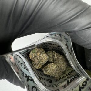 Alternative view of Backpack Boyz x Doja Pak x Prefered Gardens "Acetone"