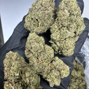 Mochilatti OG ( Fire OG | Mochi | Biscotti )