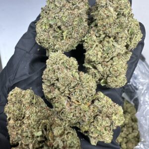 Alternative view of Mochilatti OG ( Fire OG | Mochi | Biscotti )