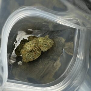 Alternative view of Doja Pak's "Giraffe Puzzy"