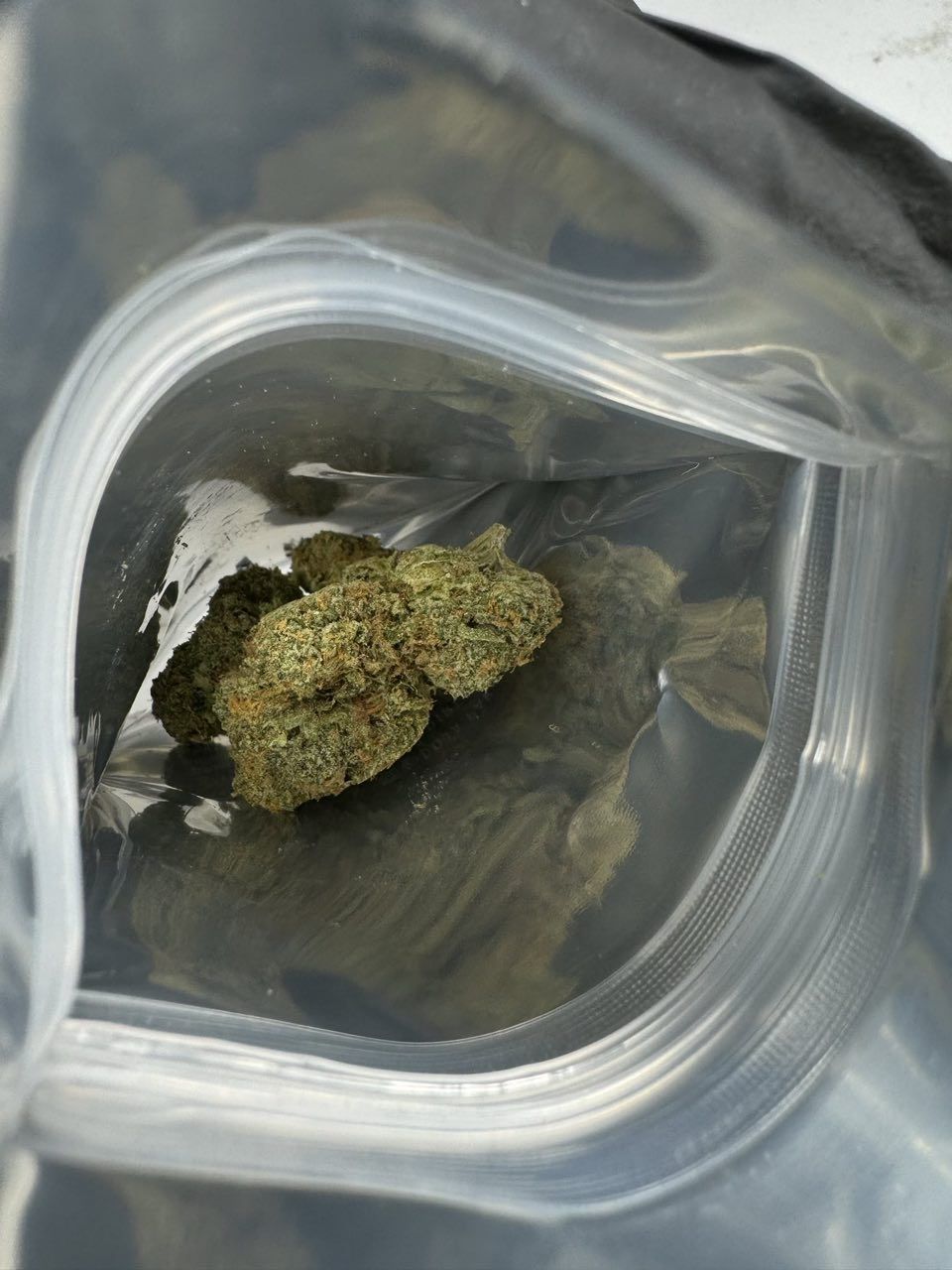 Doja Pak's "Giraffe Puzzy" - Image 2