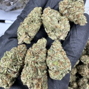 Alternative view of Cherry Cobra