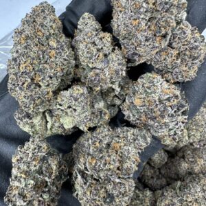 Alternative view of Tropic Treatz (Tropic Thunder x Sweet Retreat)