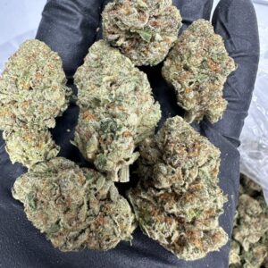 Alternative view of Gritz