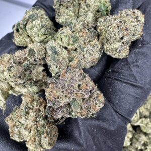 Pink StarBust Mediums